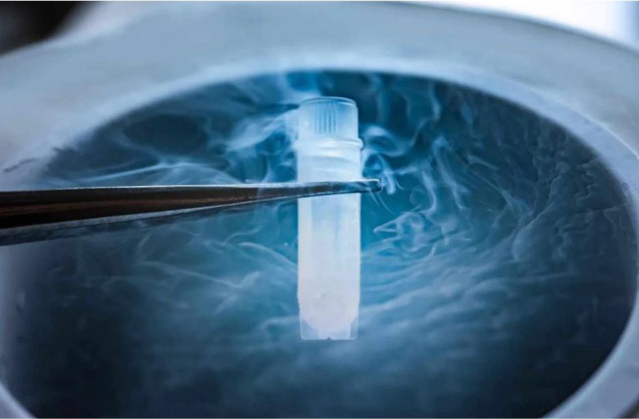 Ark.Cryo